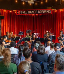 FanFare: A New Season of Fun is Brewing